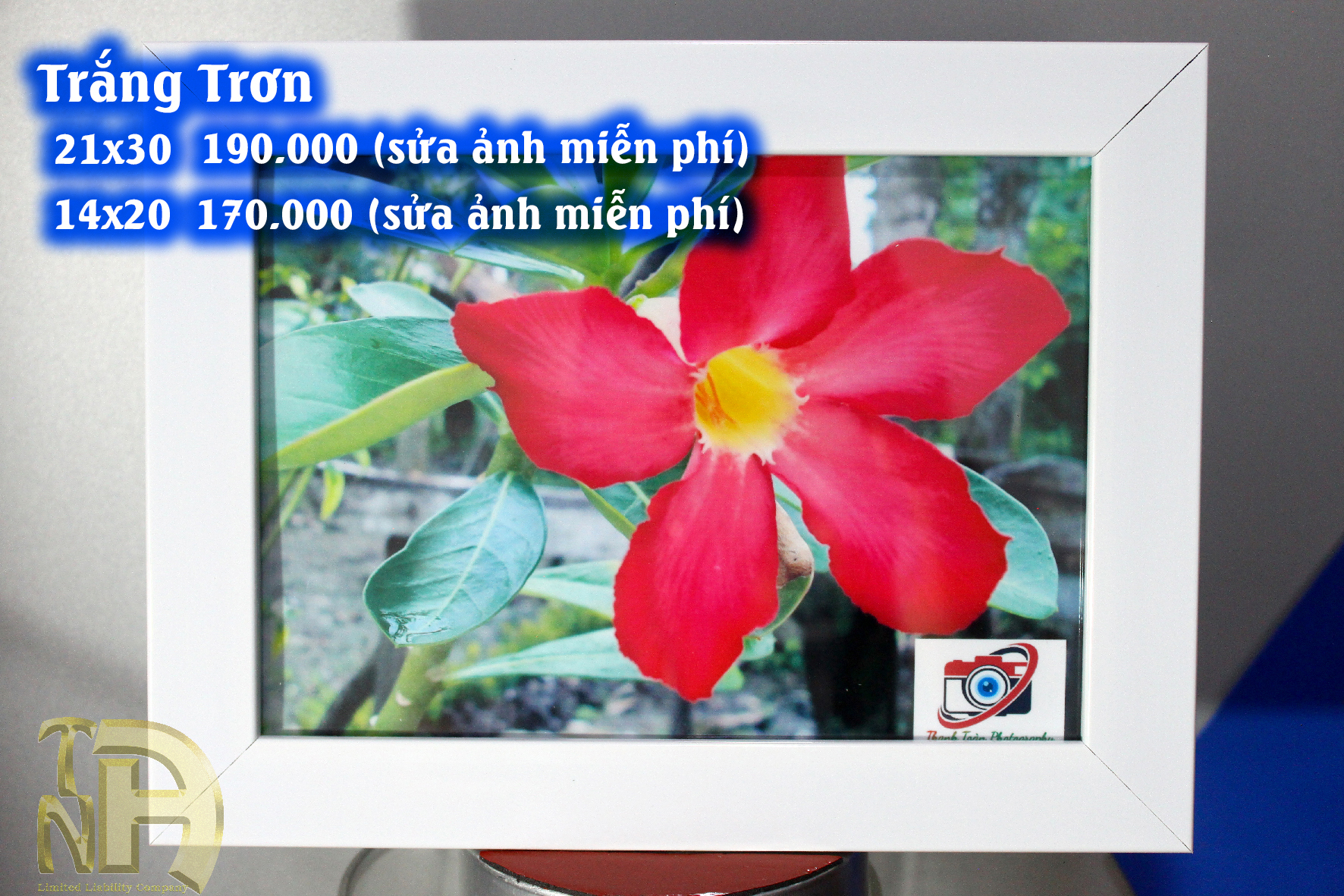 Trắng trơn